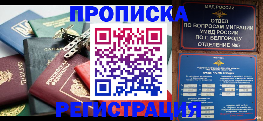 временная регистрация недорого в Кирсанове